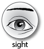 sight