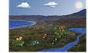tundra berries
