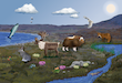 tundra scene