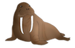 walrus