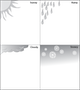 weather table