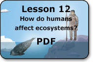 how do humans affect ecosystems