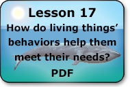 how do living things' behaviors help them meet their needs
