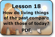 how do living things of the past compare with those of today
