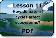 how do natural cycles affect ecosystems