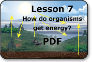 how do organisms get energy