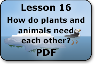 how do plants and animals need each other
