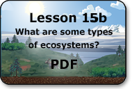 whatare some types of ecosystems