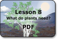what do plants need