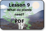 what do plants need?