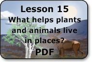 what helps plants and animals live in places