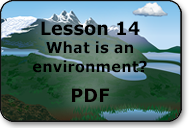 what is an environment
