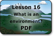 what is an environment