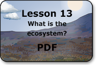what is the ecosystem