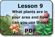 what plants are in your area and how do you use them