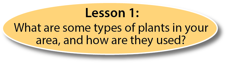 Lesson 1