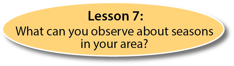 Lesson 7