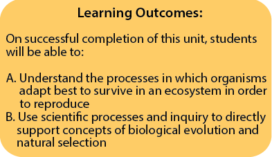Learning Outcomes Unit 3
