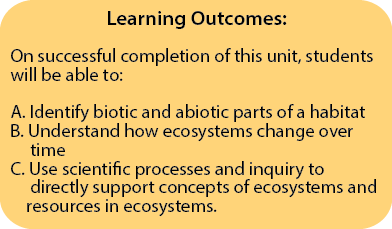 Unit 6 Learning Outcomes