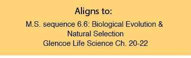 Unit 3 Aligns to: