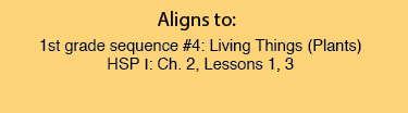 Lesson 16 K-1