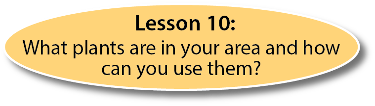 lesson 10