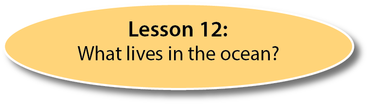 lesson 12