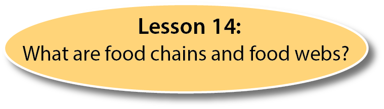 lesson 14