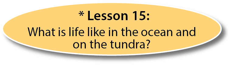 lesson *15