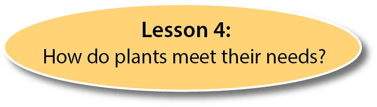 Lesson 4
