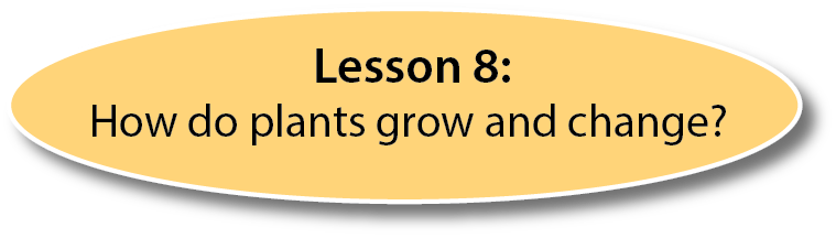 Lesson 8