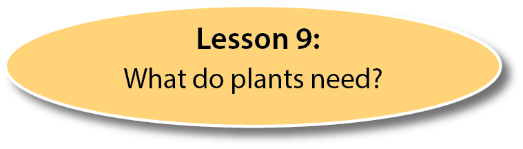 lesson 9