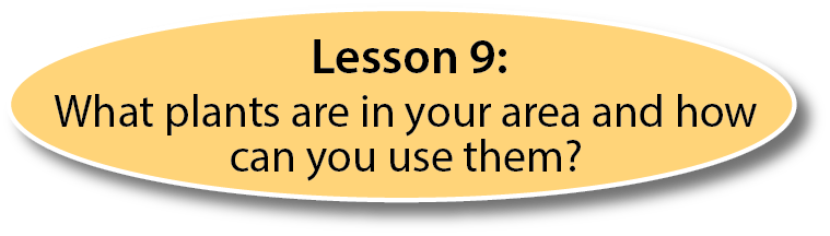 Lesson 9