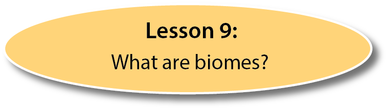 Lesson 9