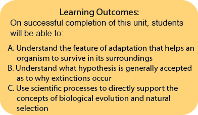 learning outcomes unit 5