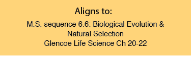 Unit 5 Aligns to: