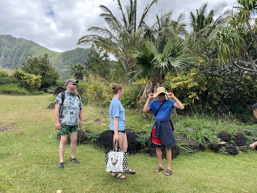 ka'ala taro root farm