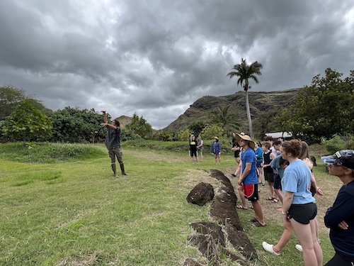 ka'ala taro root farm