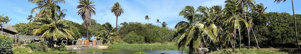 Hawai'i Student workshop