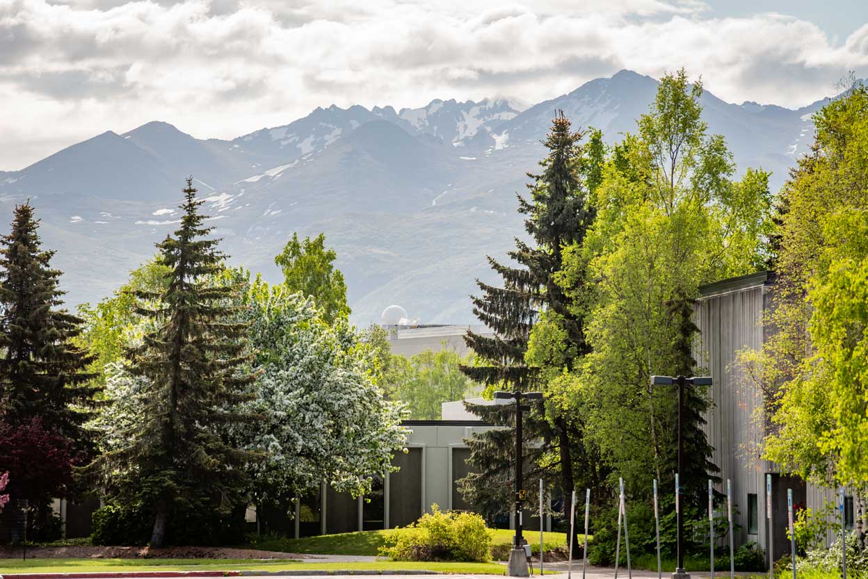 Tree tour on the UAA campus