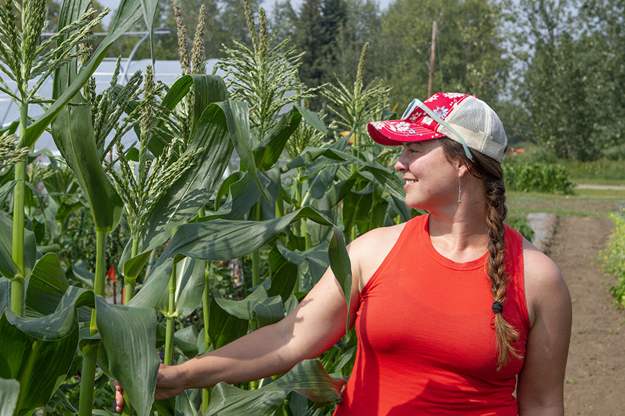 Glenna Gannon, female researcher, stands next to corn higher than her head