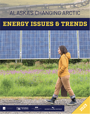 Cover of 2023 Energy Issues and Trends report with title text and photo of a woman walking in front of a solar panel array.