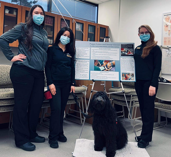 Luci the therapy dog with dental students