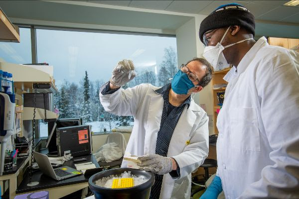 Student and professor in a lab running sequencing tests on COVID-19 