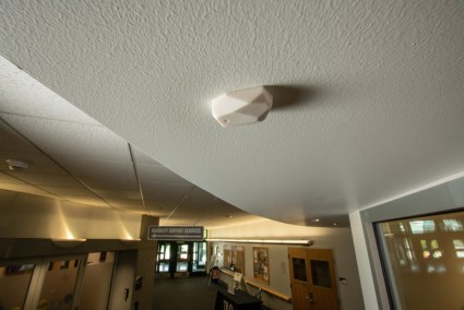 UAA Disability Services
