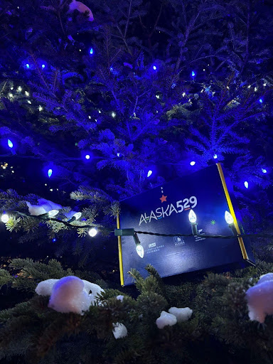 an Alaska 529 present under a Christmas tree.