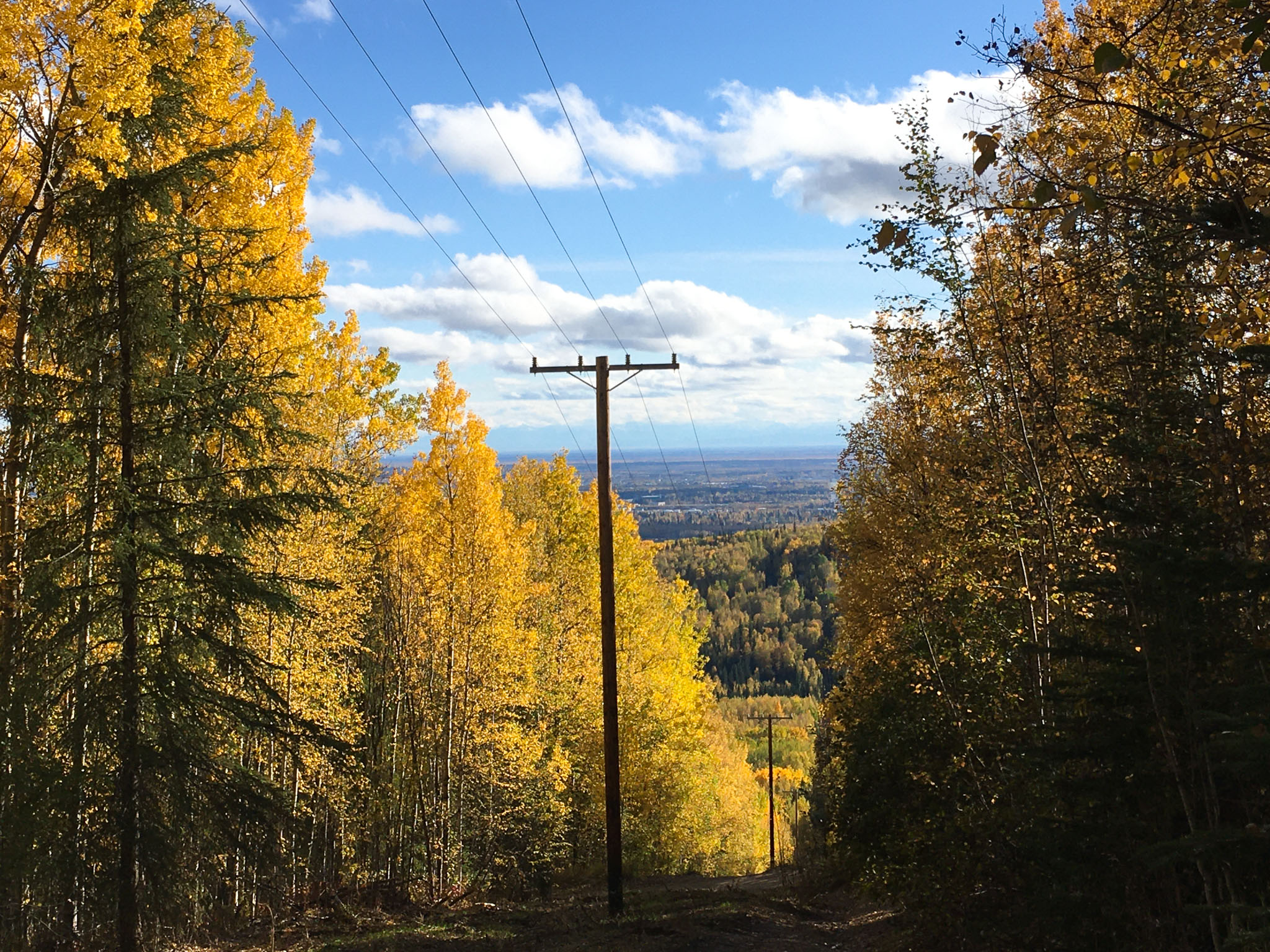 A power line snakes up a hill in Fairbanks autumn