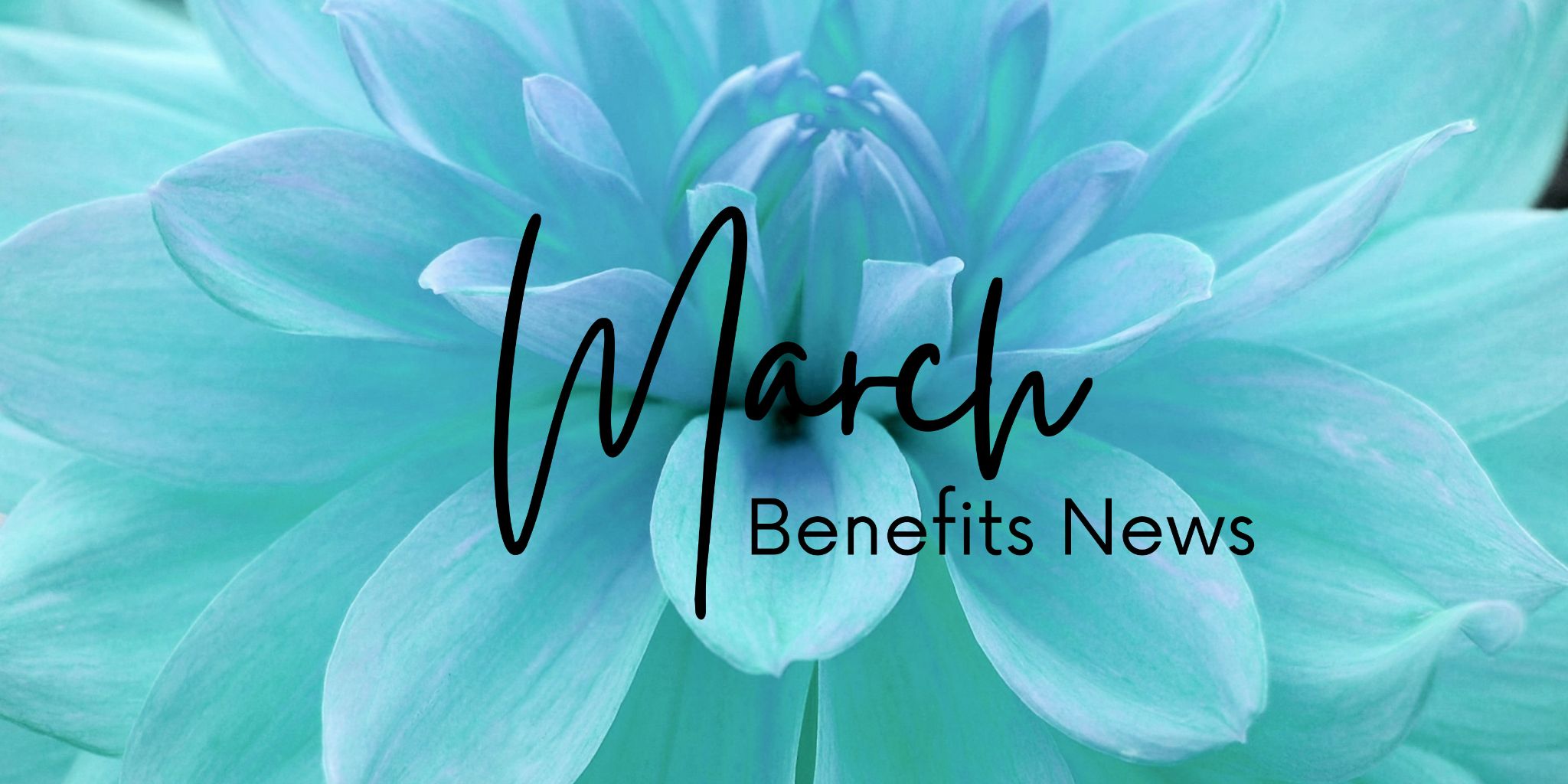 March Benefit News graphic