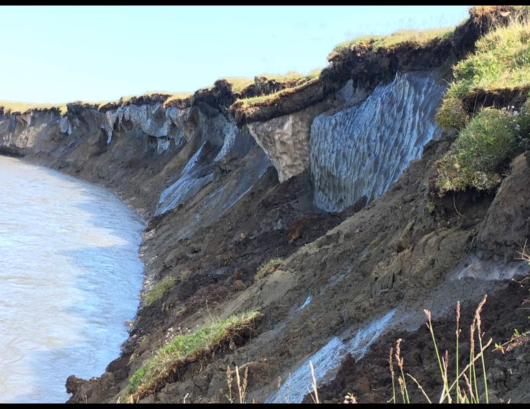 Permafrost in bluffs on the bank of the Canning River