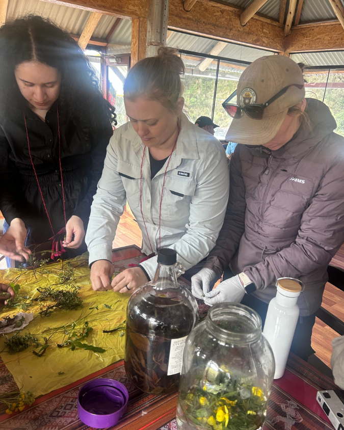University of Alaska nursing student Serenalia Iona, left, and two other immersion program participants prepare medicinal plants during a hands-on traditional medicine workshop in Peru.